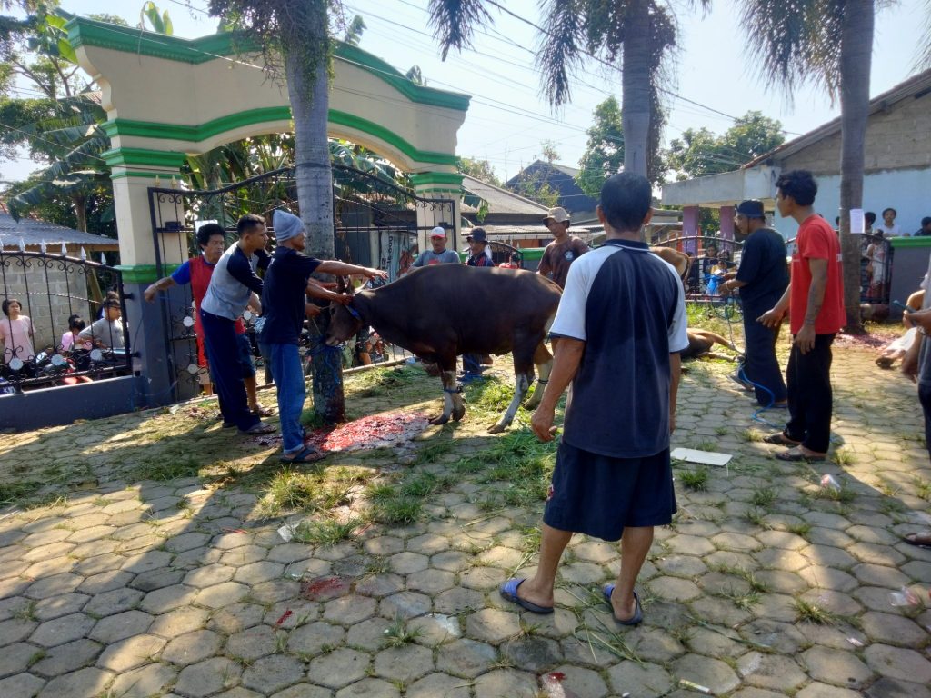 Warga RW 08 Menyelenggarakan Qurban di Halaman Masjid Al-Muttaqin