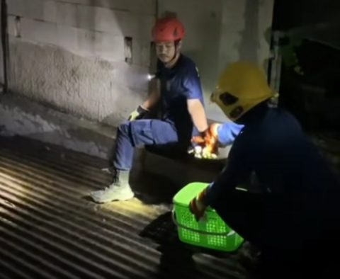 Screenshot_20251018-183349